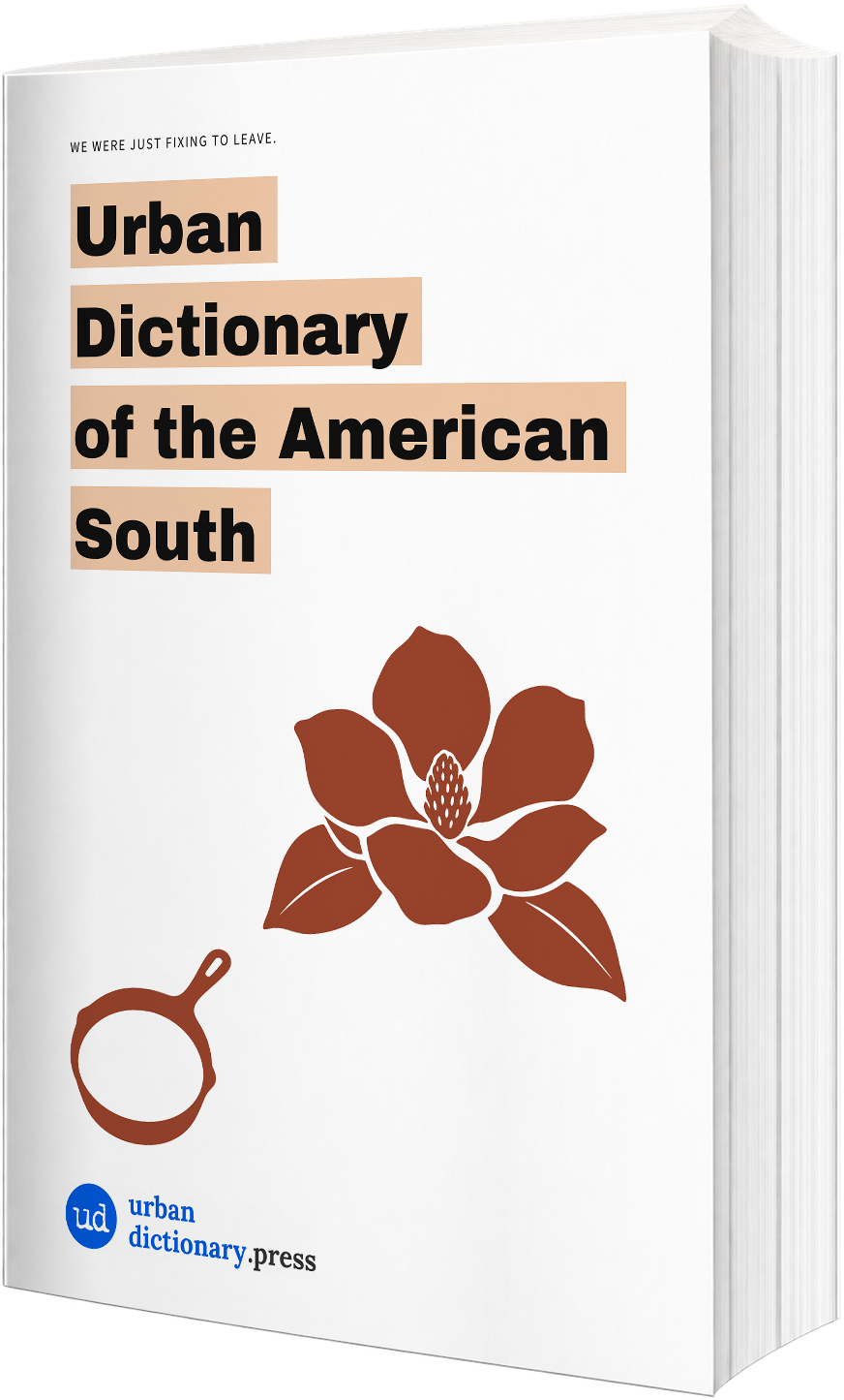 Urban Dictionary of the American South paperback