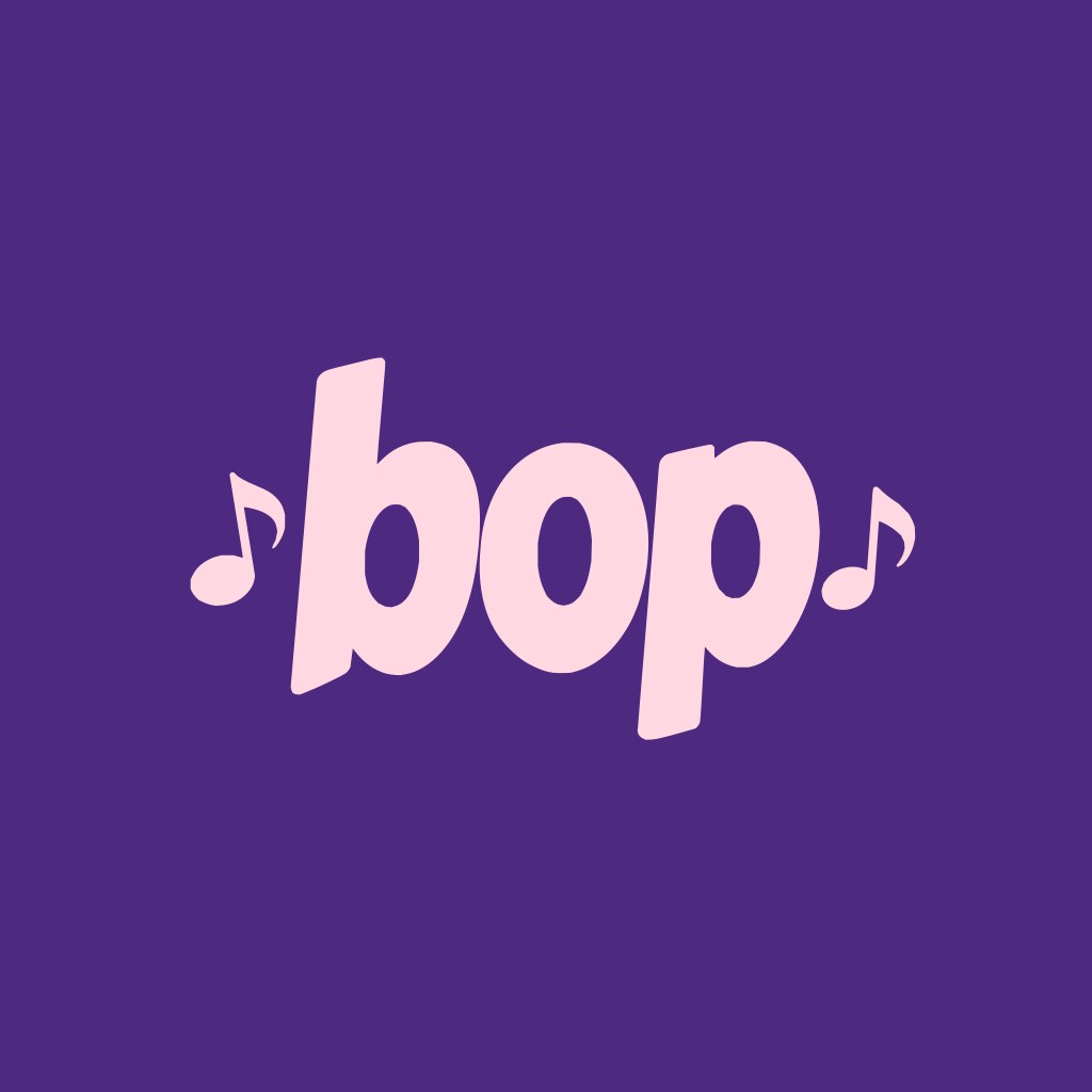 bop hoodie, the artwork