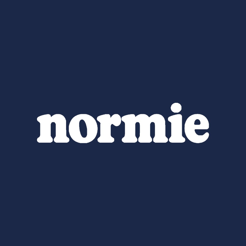 normie beanie, the artwork