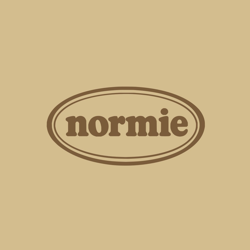 normie hoodie, the artwork